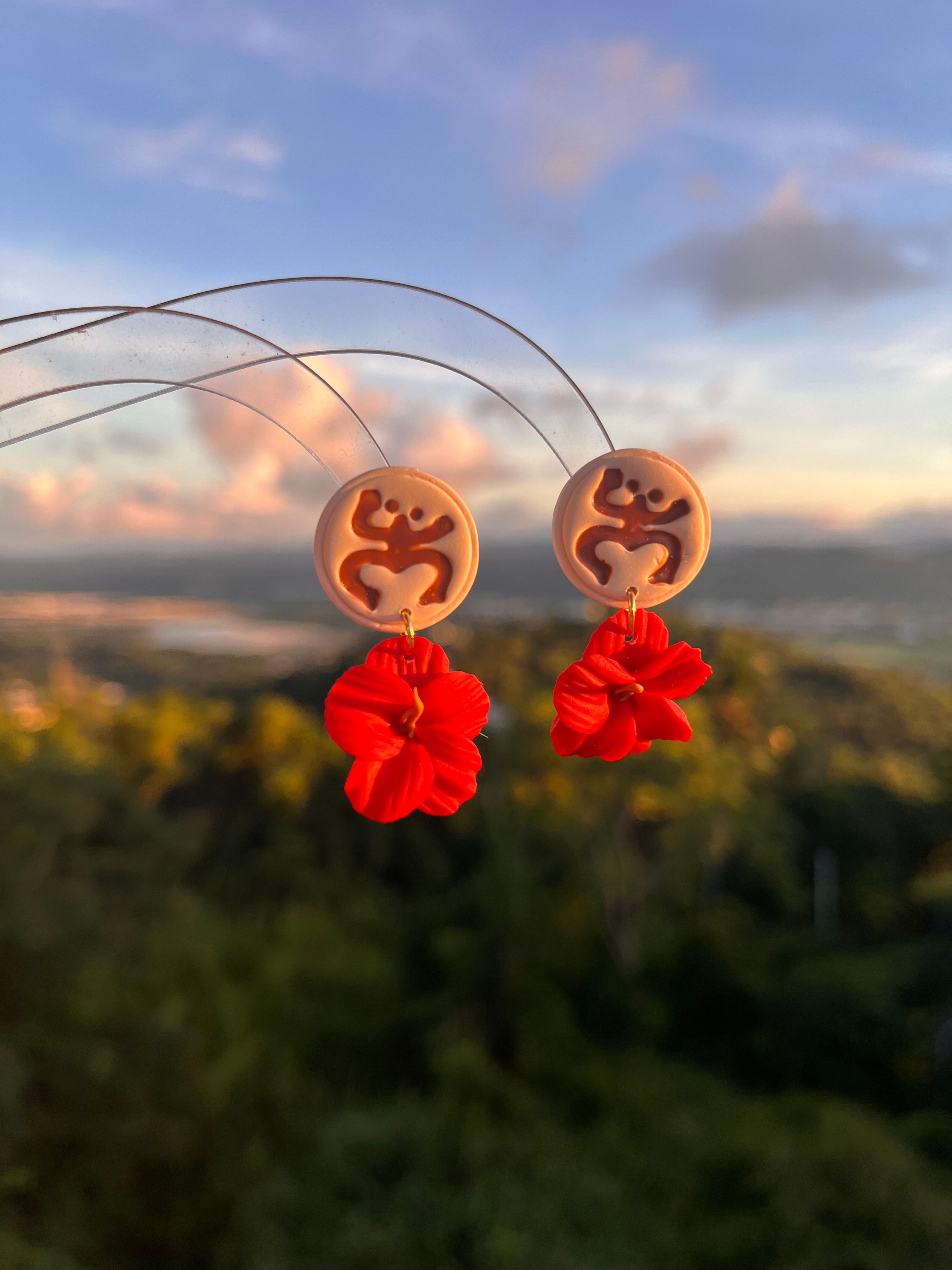 Boricua Aunque Naciera en la Luna