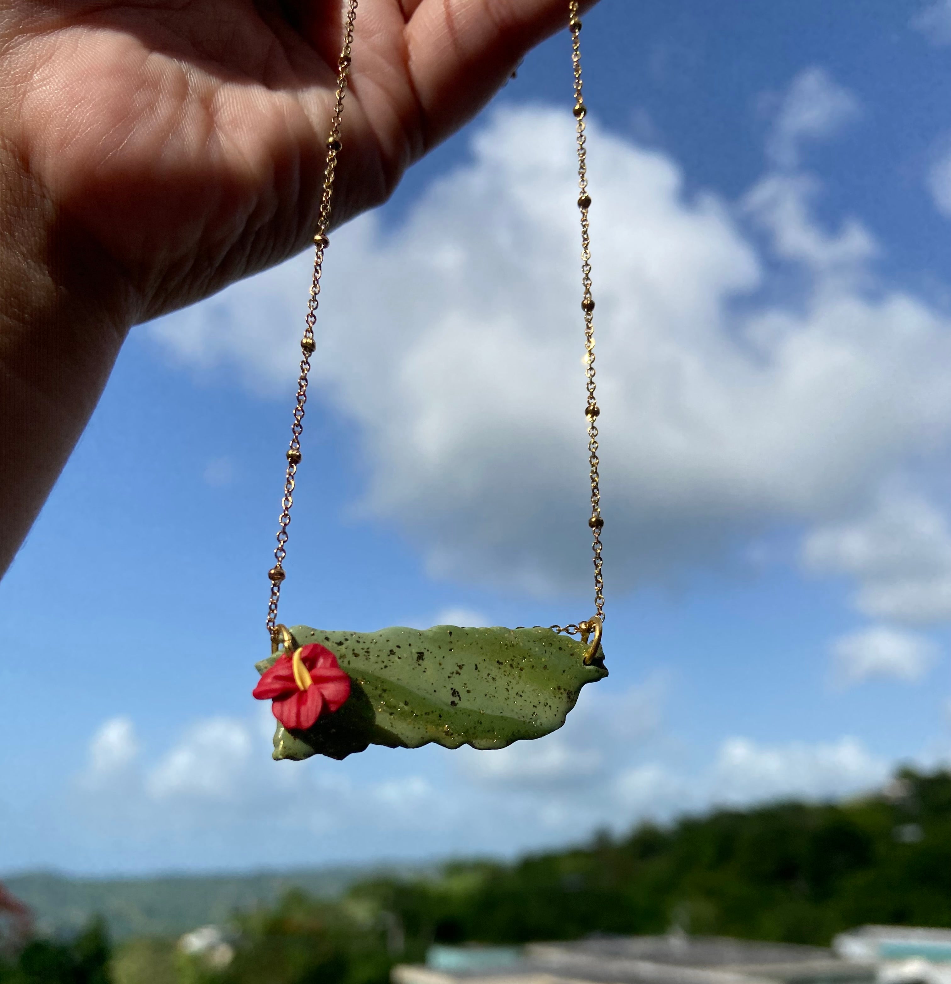Mi Isla