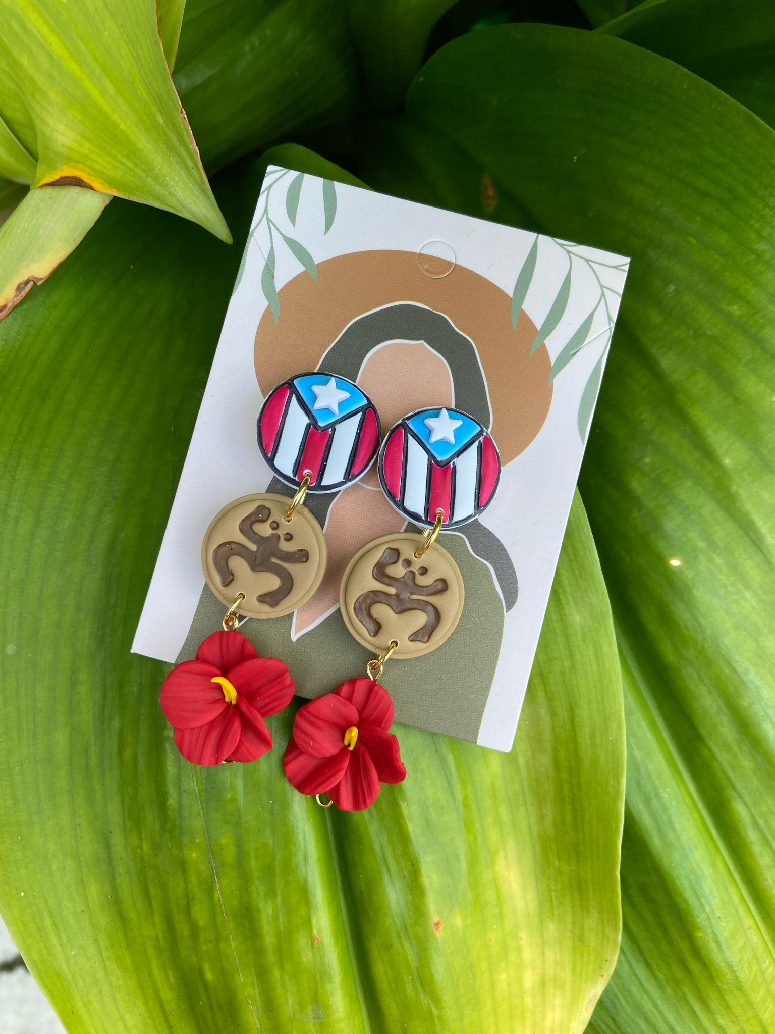 Boricua Aunque Naciera en la Luna