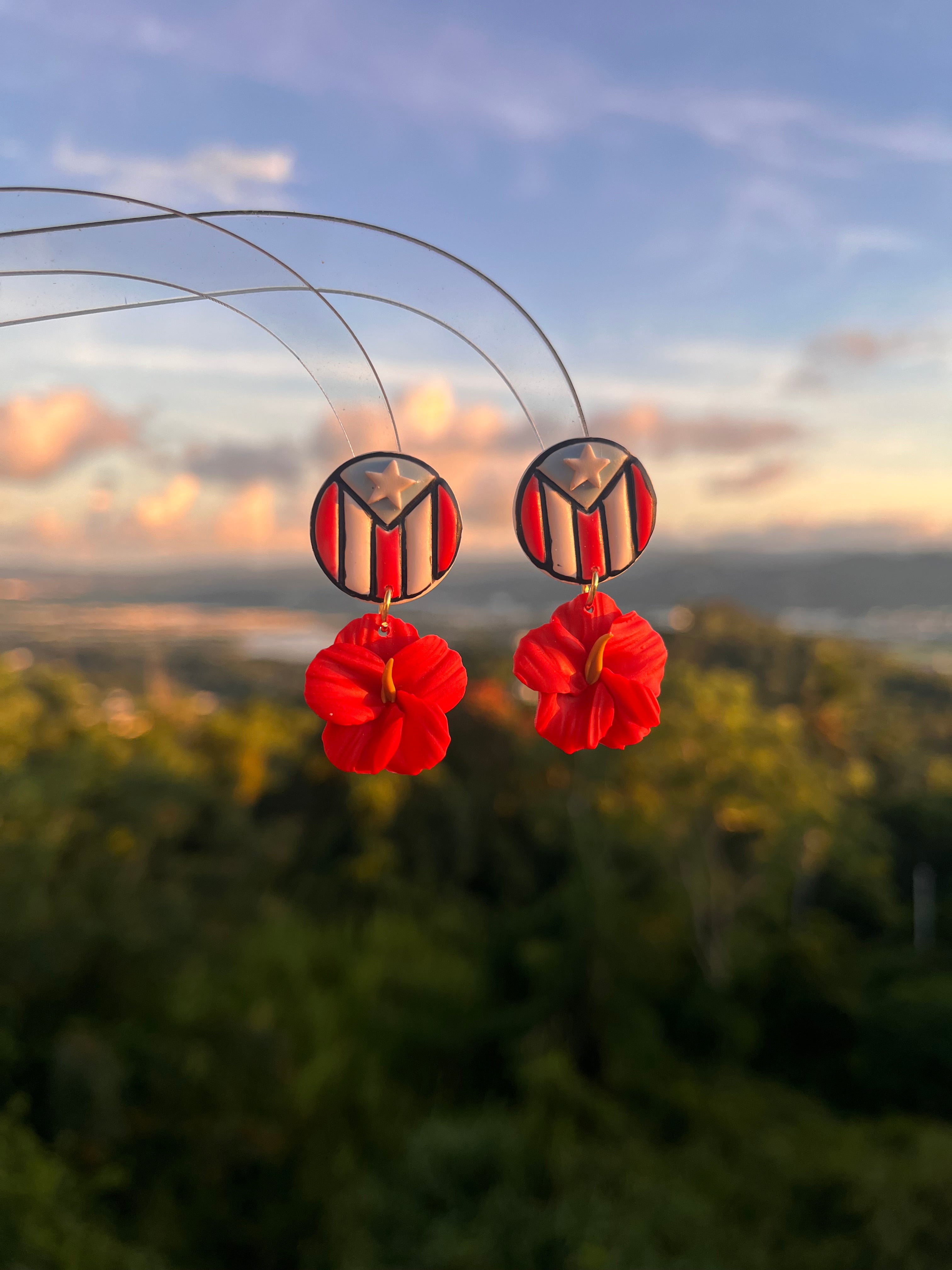 Boricua Aunque Naciera en la Luna