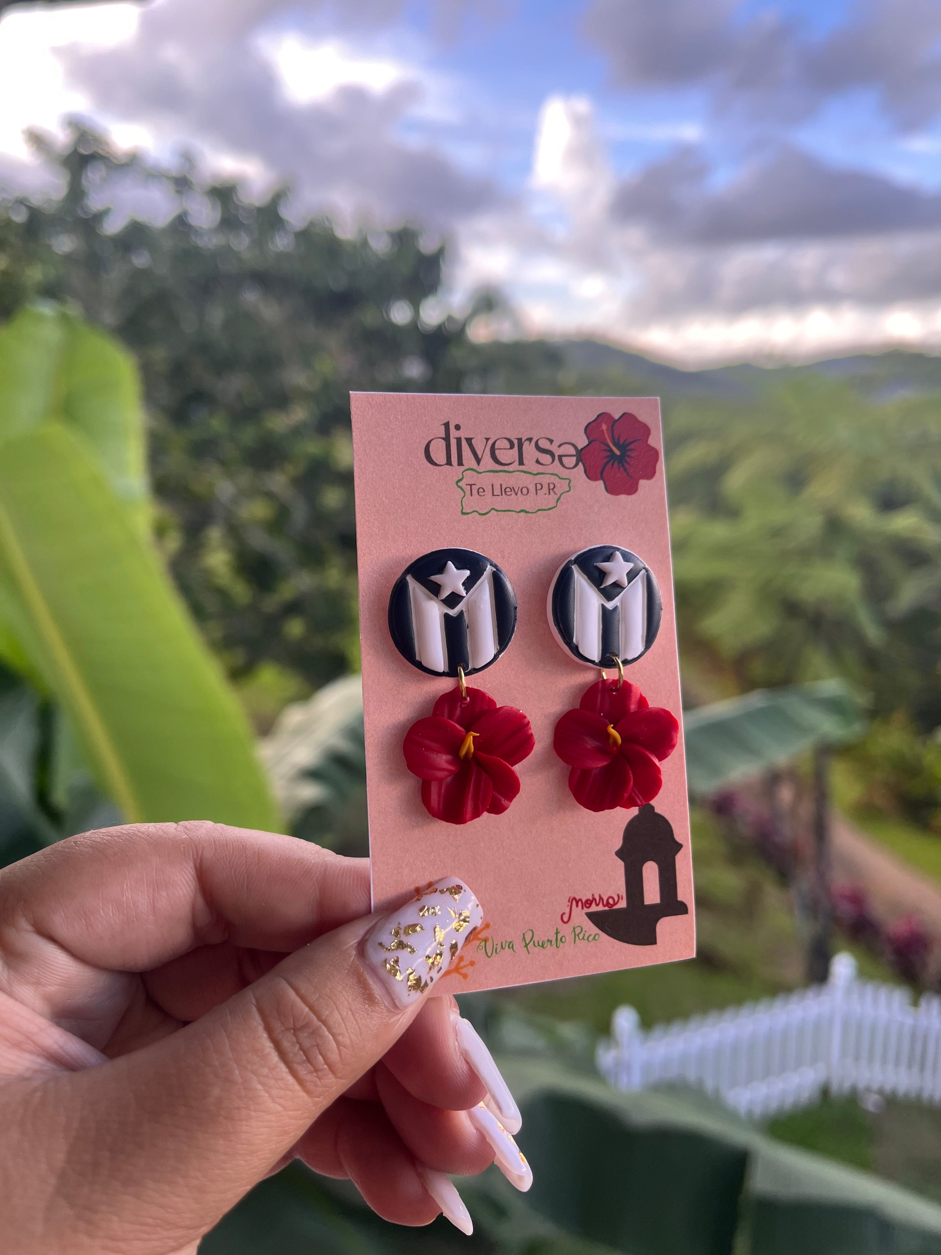 Boricua Aunque Naciera en la Luna