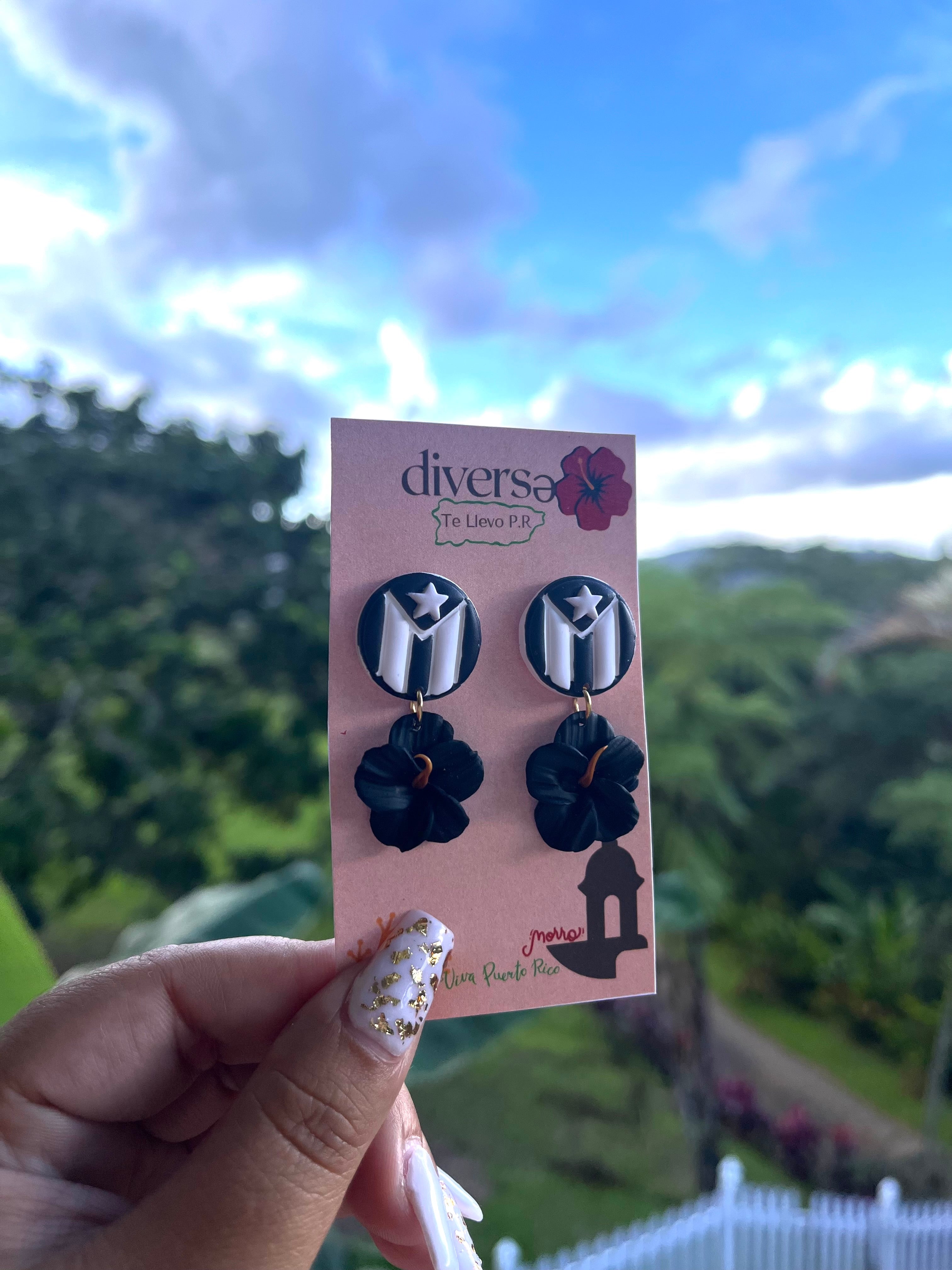 Boricua Aunque Naciera en la Luna